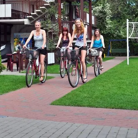 B&B Paleo Premium 3*