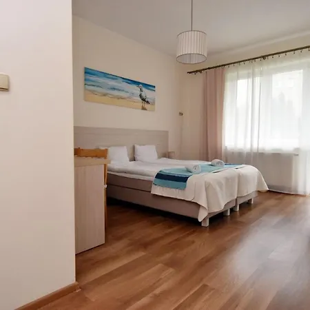 Paleo Premium 3*