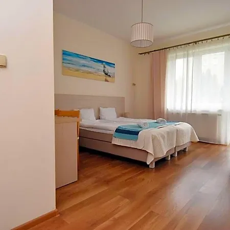 Paleo Premium 3*