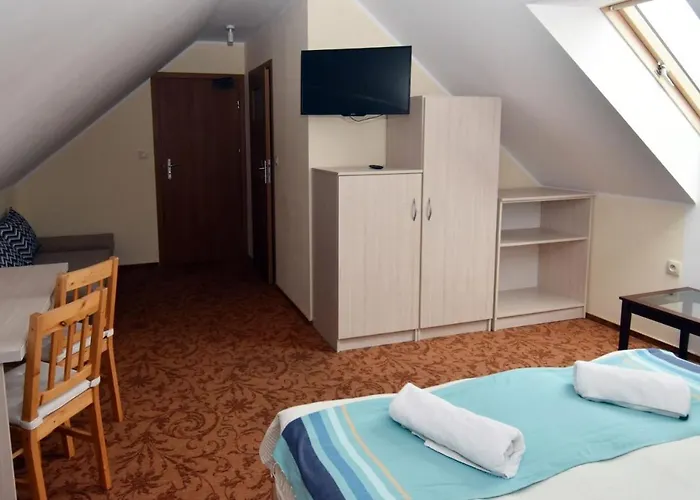 住宿加早餐酒店 Paleo Premium